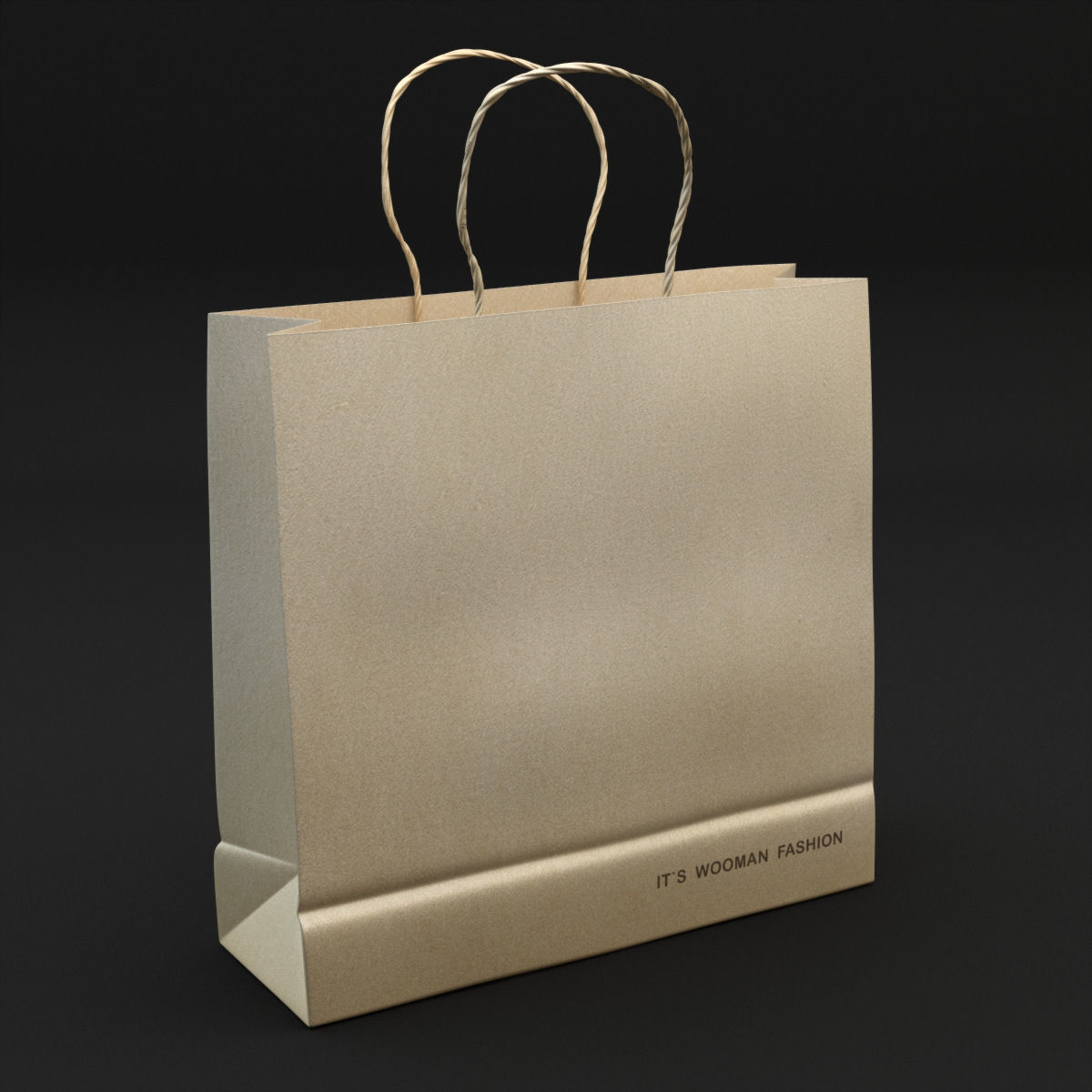 Shopping Bag 3D model_15