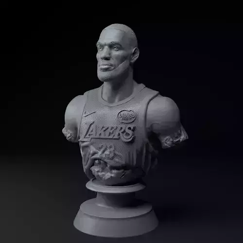 LeBron James Premium Bust STL