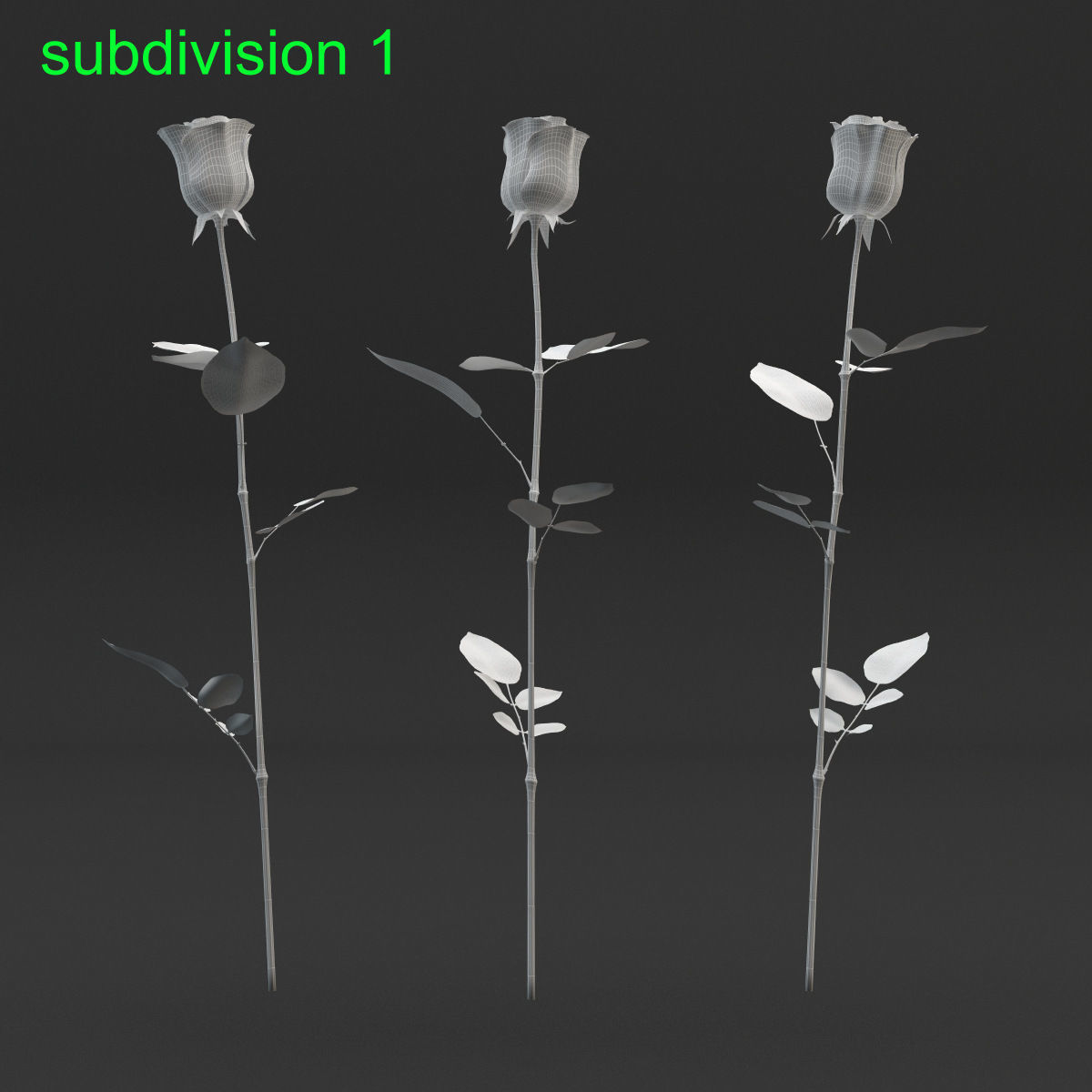 Rose Set 3D model_3