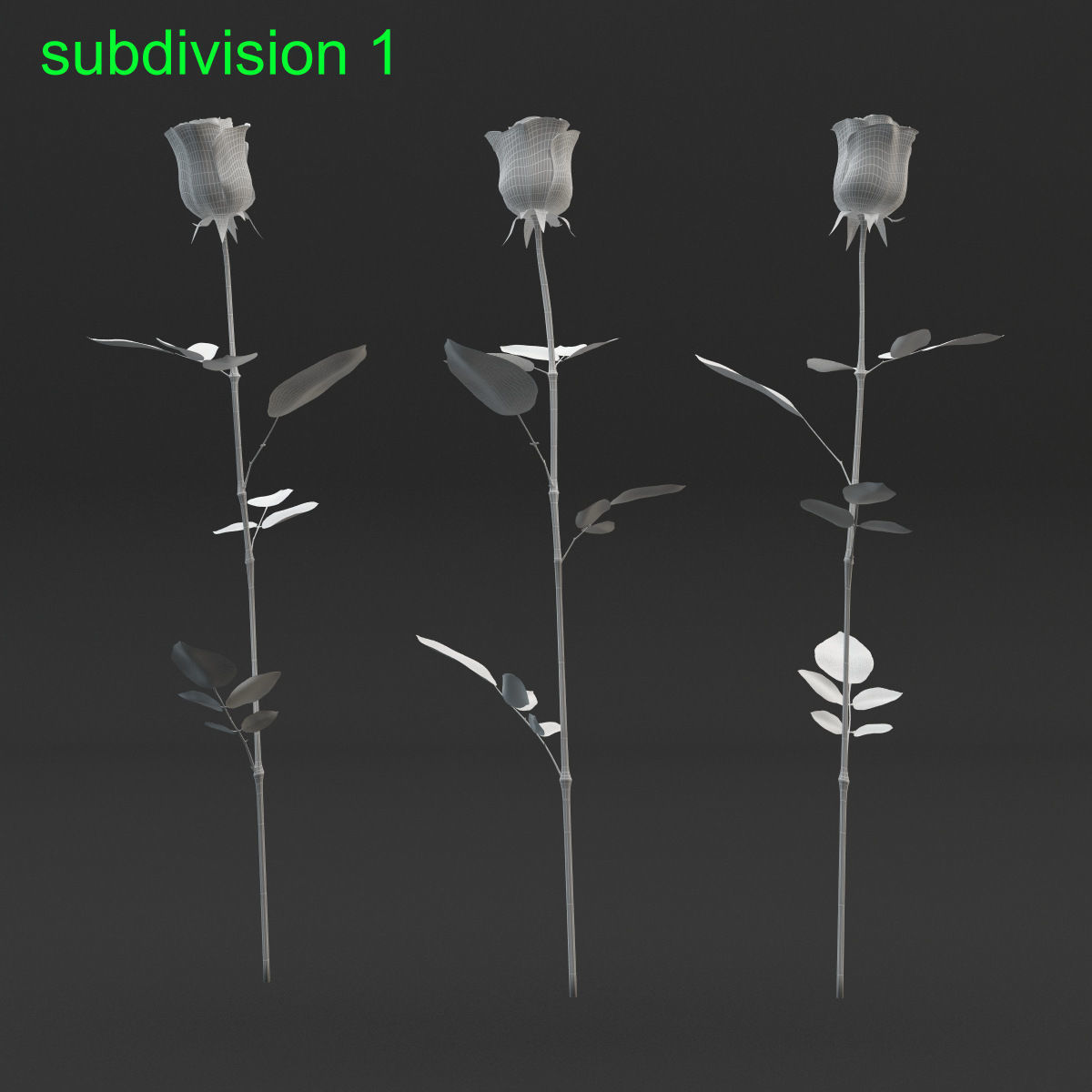 Rose Set 3D model_7