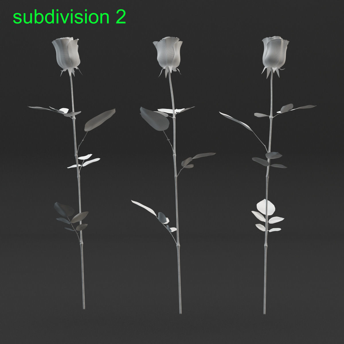 Rose Set 3D model_6
