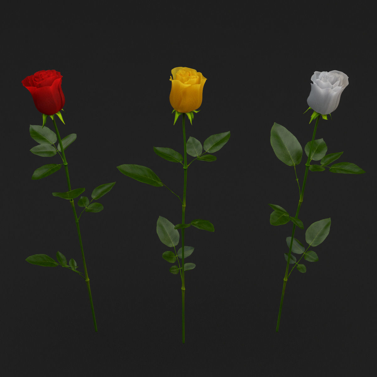 Rose Set 3D model_1