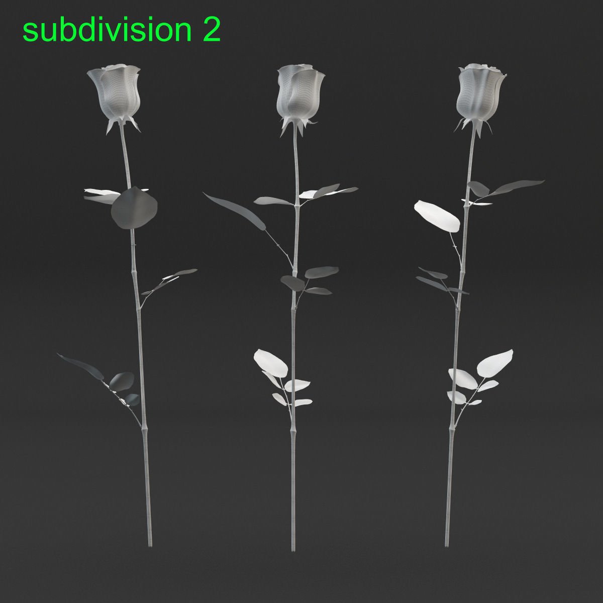 Rose Set 3D model_10