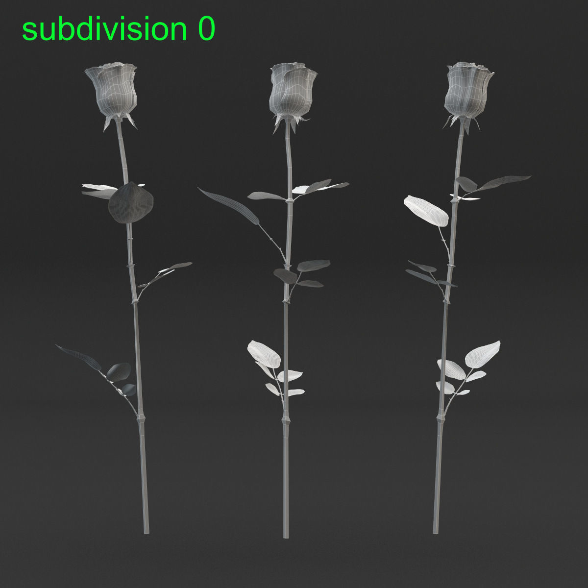 Rose Set 3D model_4
