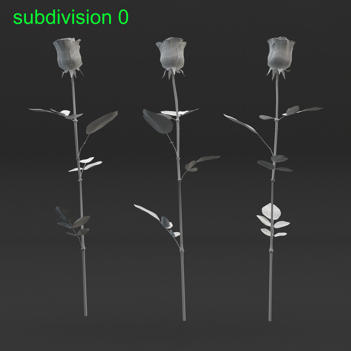 Rose Set 3D model_9