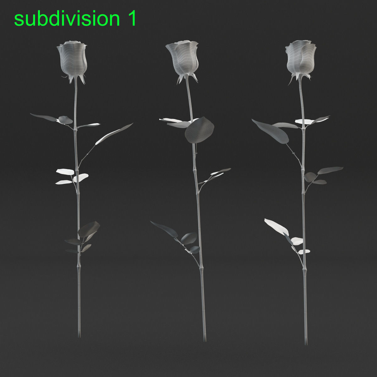 Rose Set 3D model_5