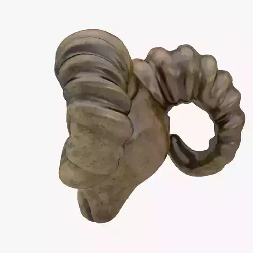 Ram 3D model