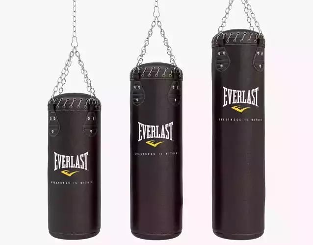 Punching Bag Set 3D model