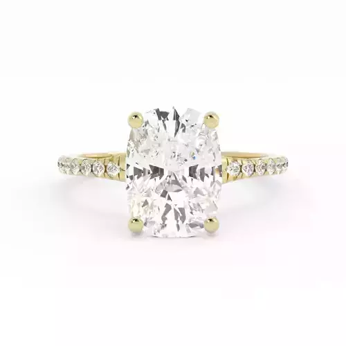 Cushion Diamond Solitaire Pave Band and FREE Round Model 3dm