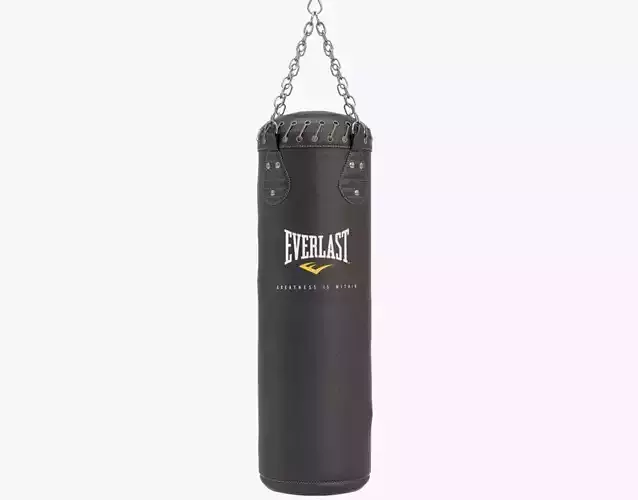Punching Bag 3D model