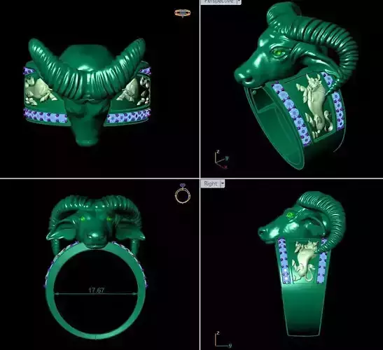 buffalo ring print 3d