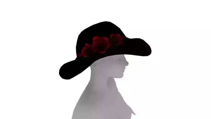 Female Fashion Hat
