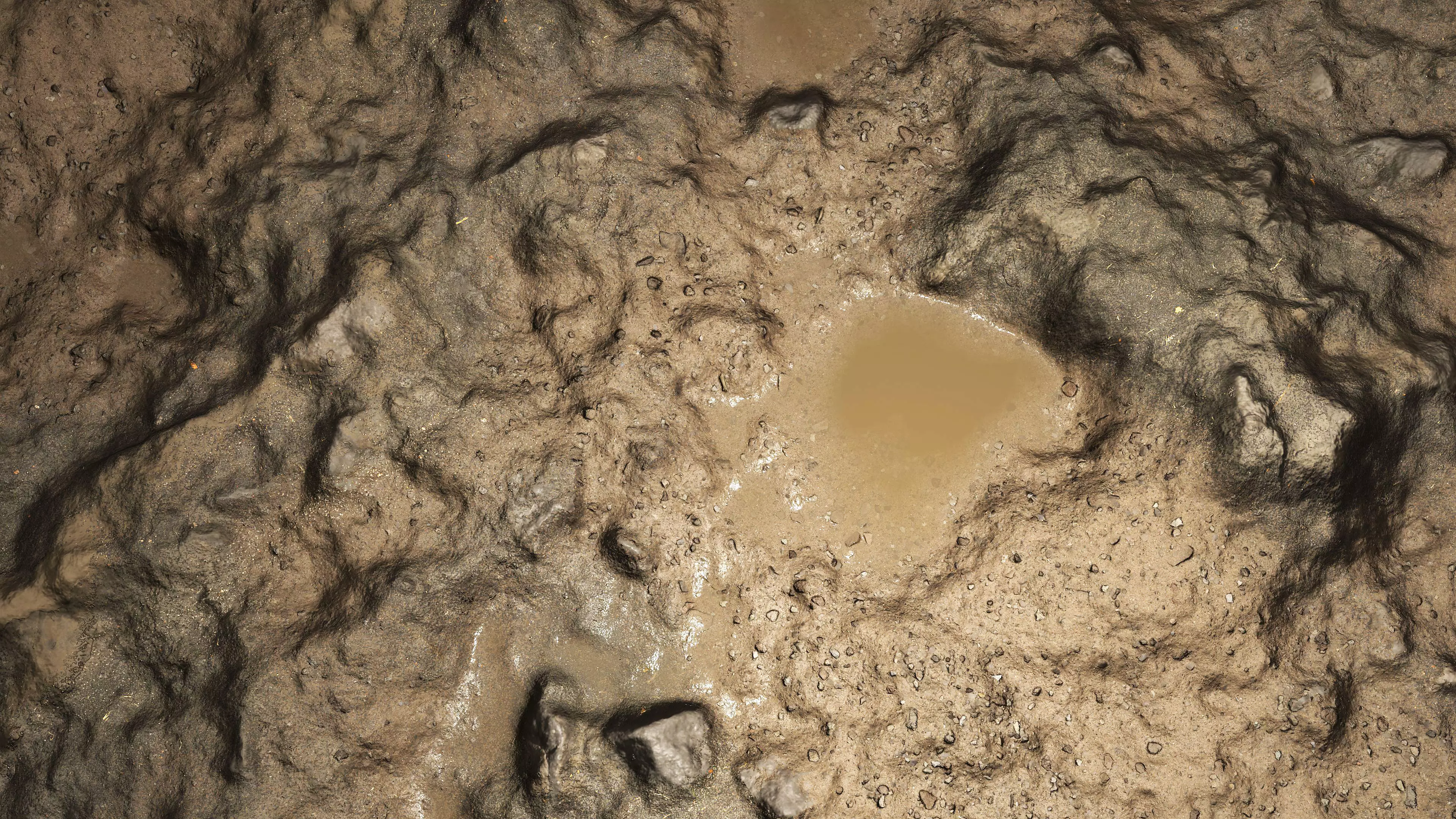 Wet Terrain 8K PBR Texture Texture_6