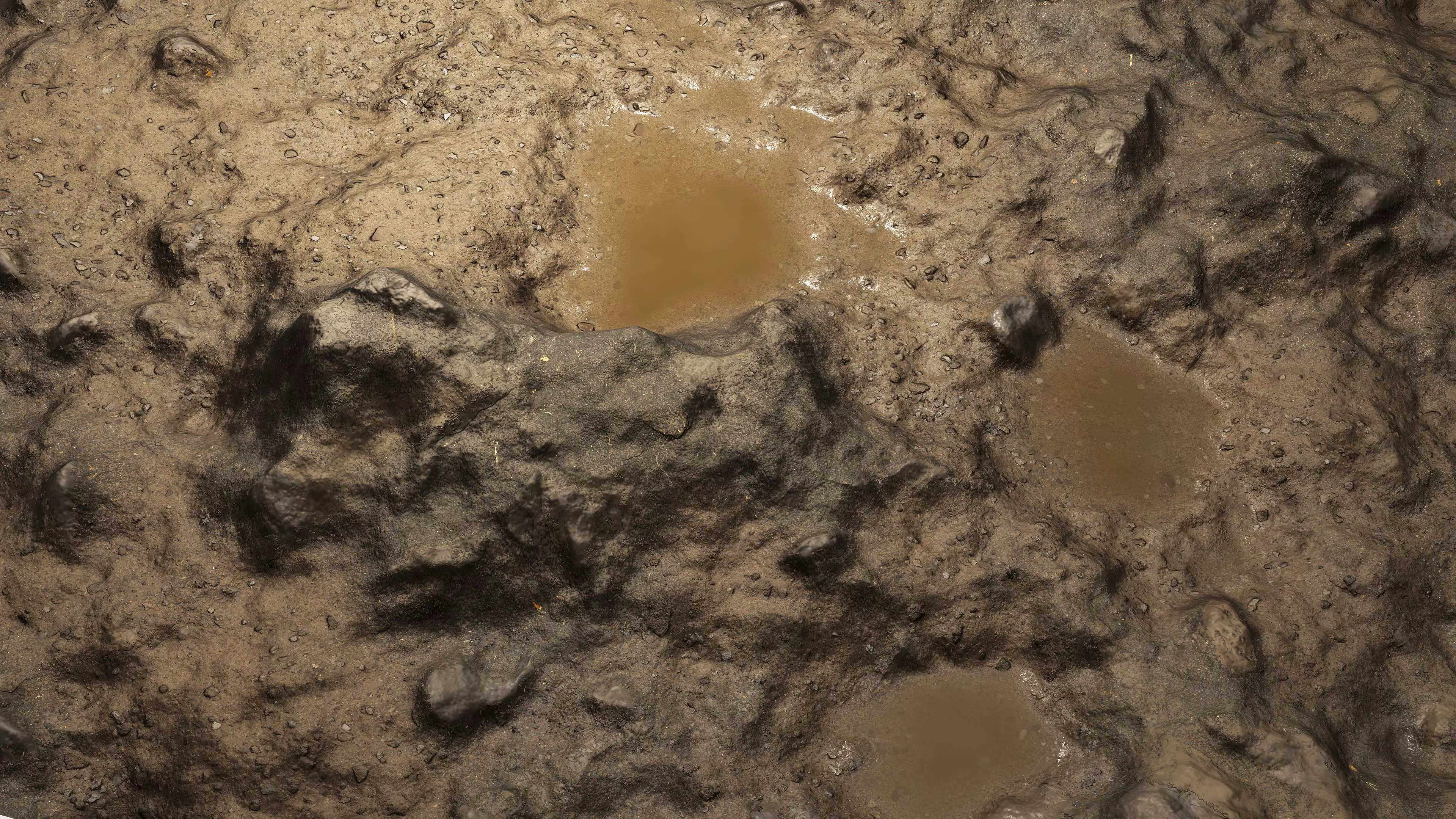 Wet Terrain 8K PBR Texture Texture_1