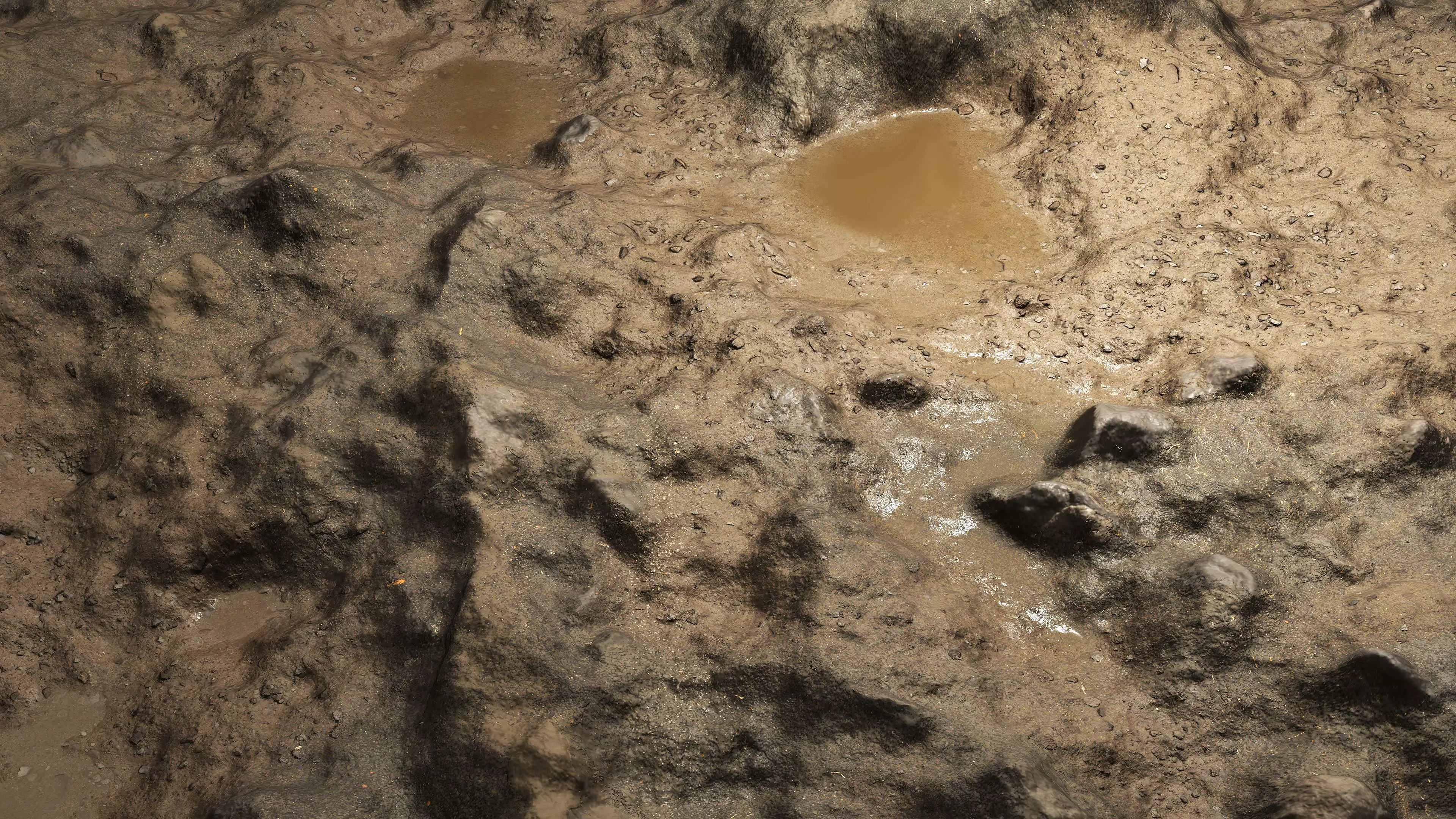 Wet Terrain 8K PBR Texture Texture_0