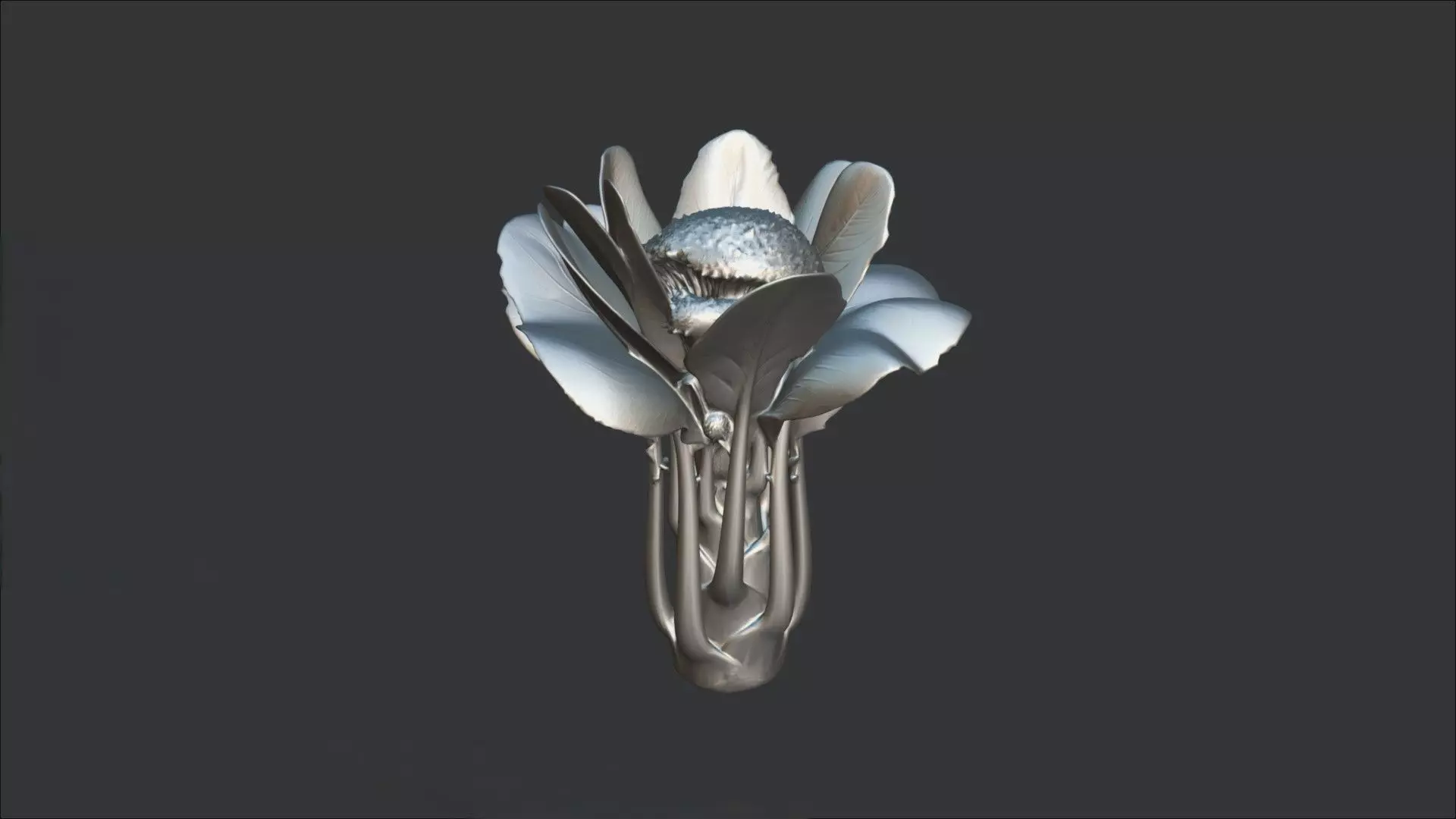 Chinese Broccoli 3D model_1