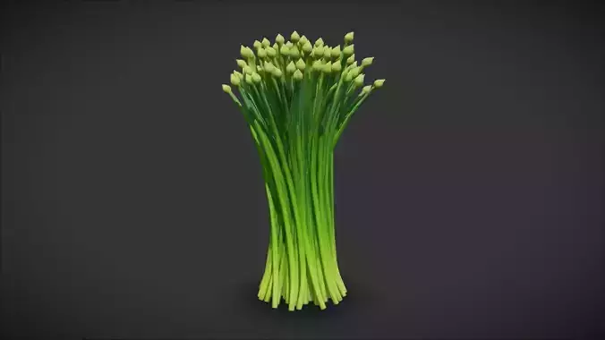 Chives
