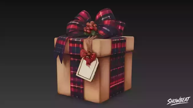 Plaid Christmas Gift 