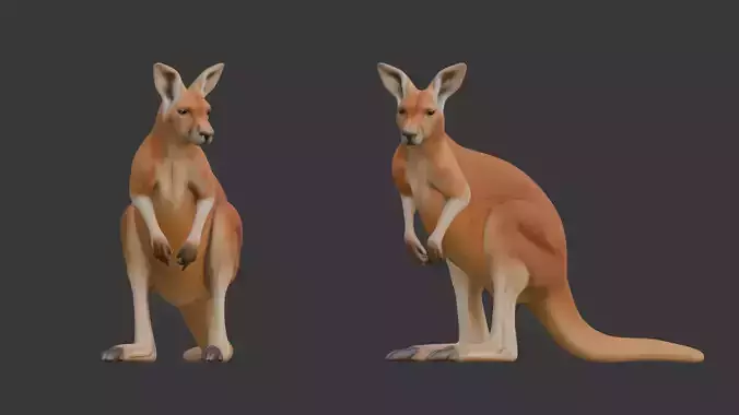 Kangaroo 3D Scan Print