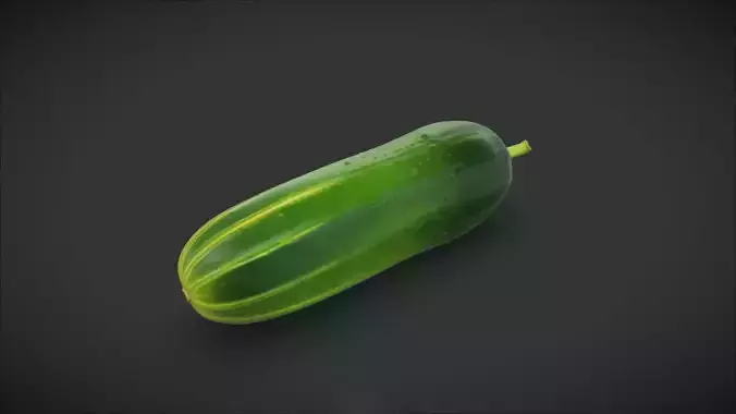 Cucumber 3D model