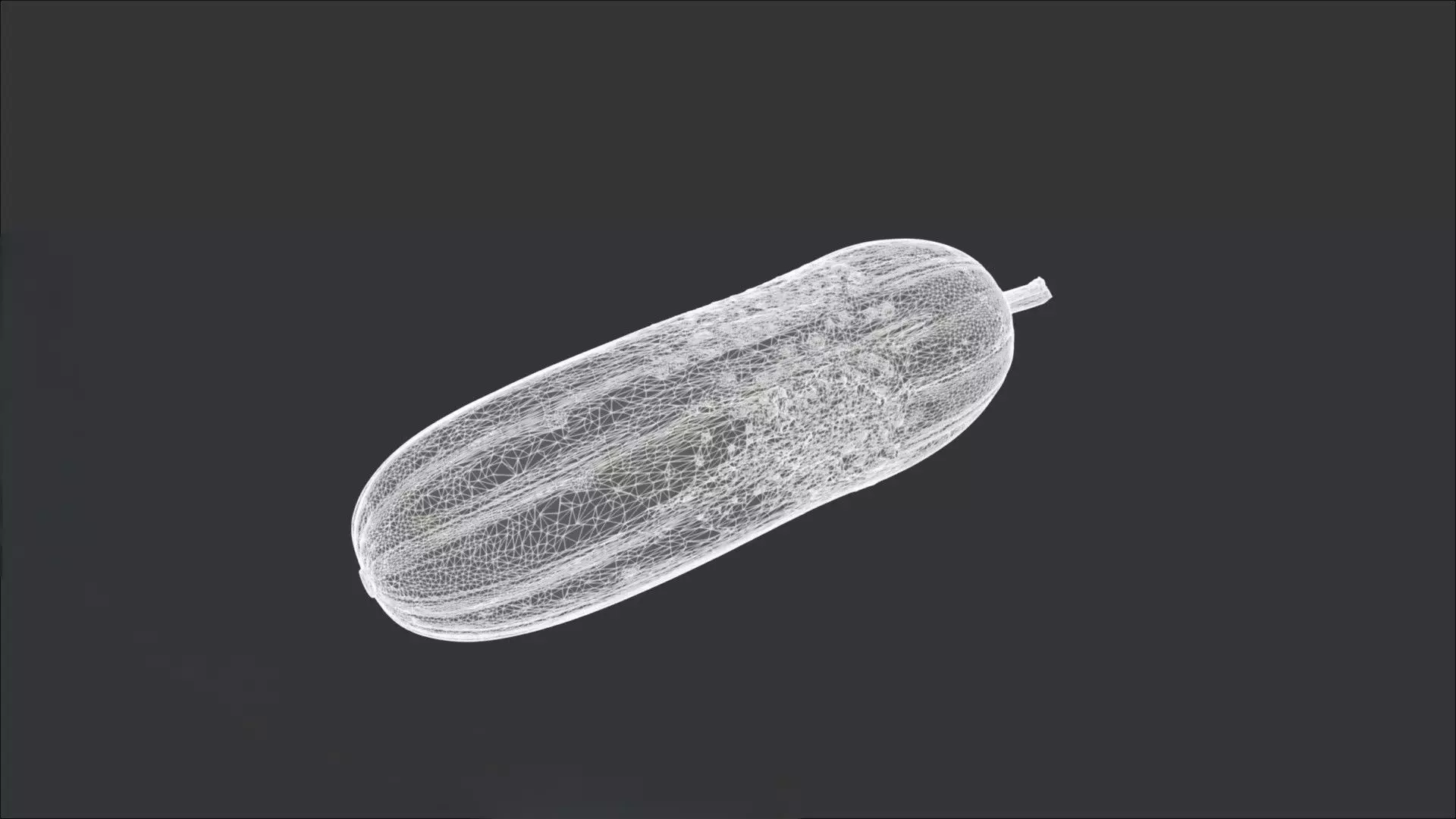 Cucumber 3D model_2