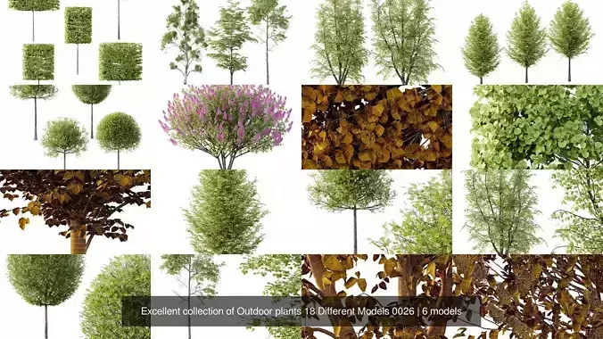 Excellent collection of Outdoor plants 18 Different Models 0026