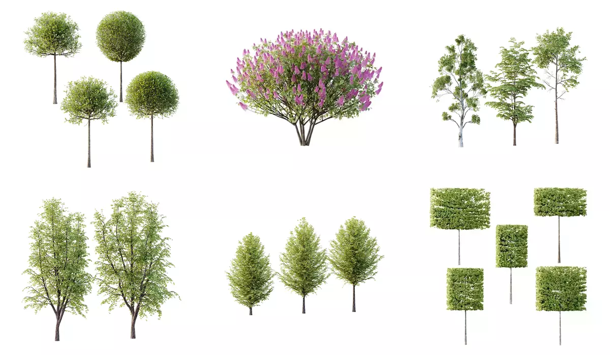 Excellent collection of Outdoor plants 18 Different Models 0026 _0