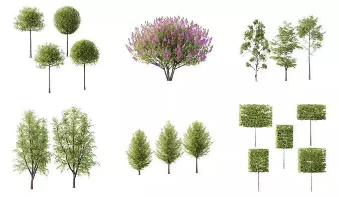 Excellent collection of Outdoor plants 18 Different Models 0026 