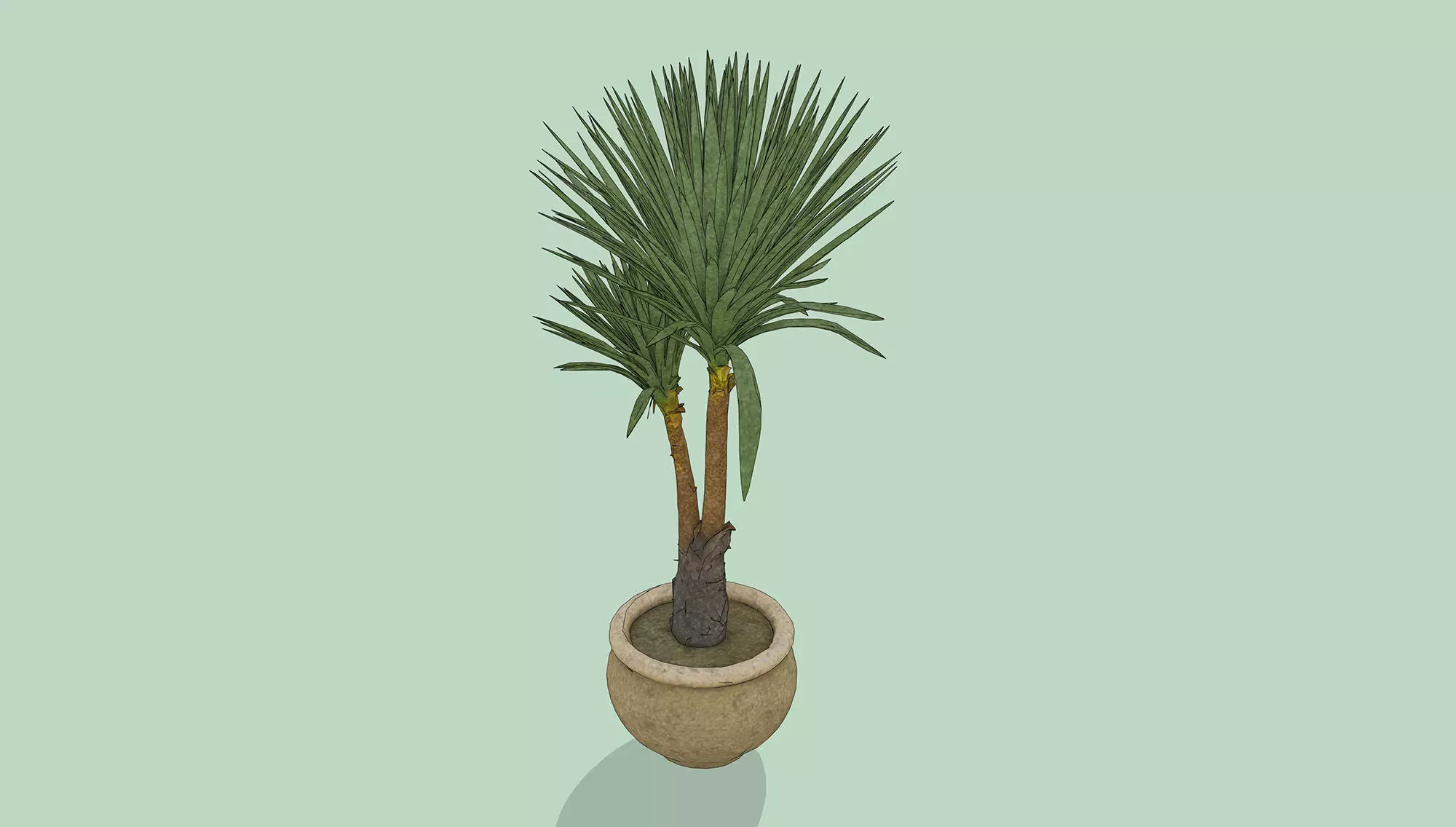 Dragon Tree Low-poly 3D model_5