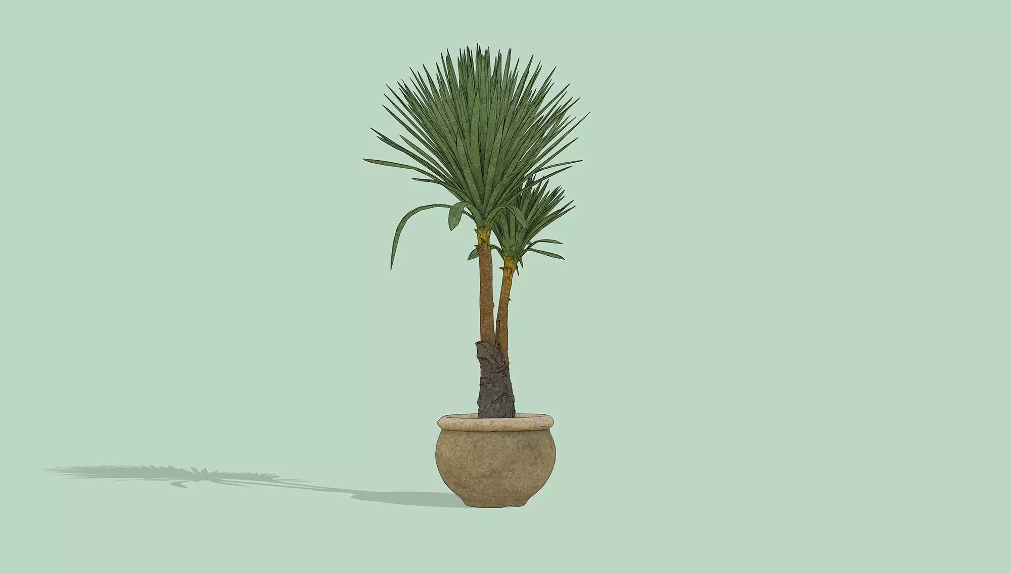 Dragon Tree Low-poly 3D model_6