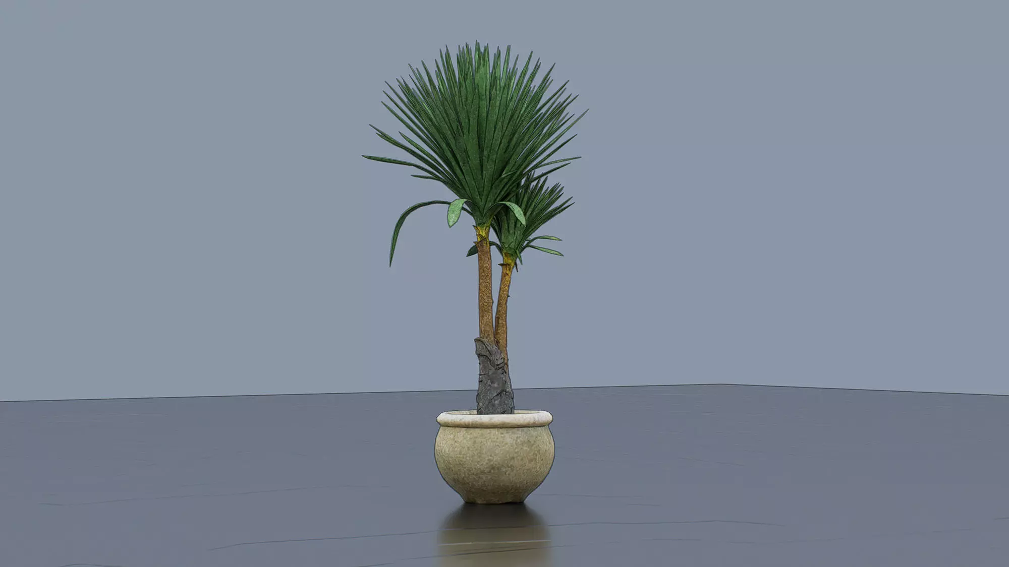 Dragon Tree Low-poly 3D model_1