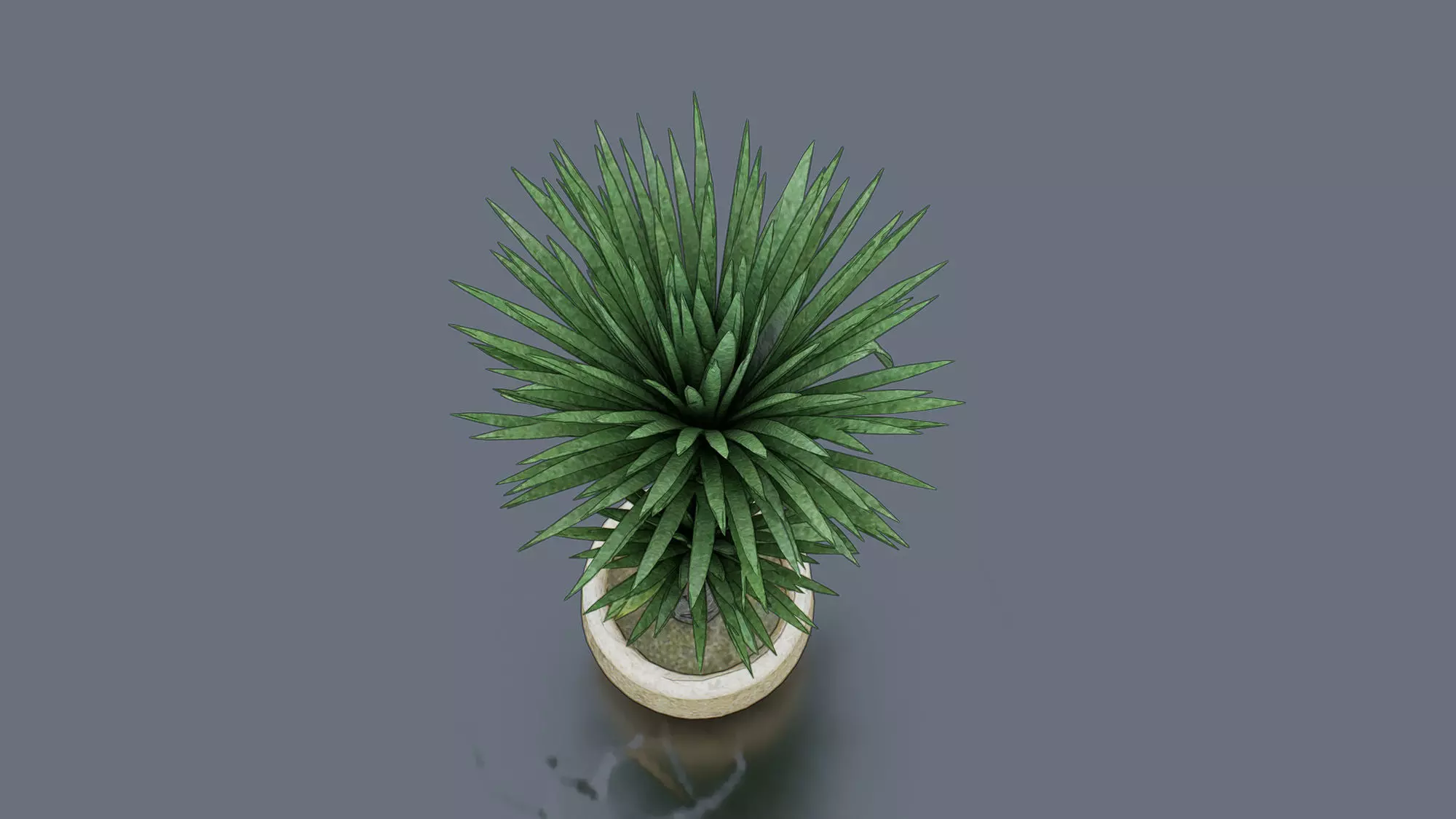 Dragon Tree Low-poly 3D model_2