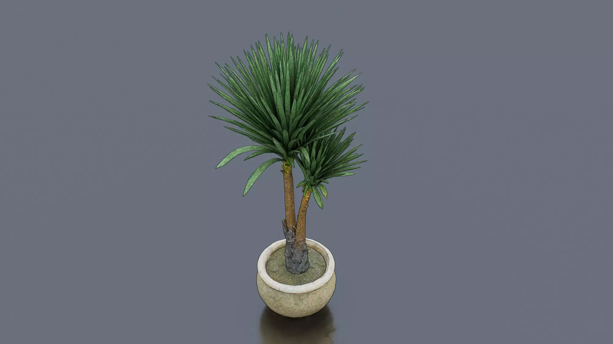 Dragon Tree Low-poly 3D model_0