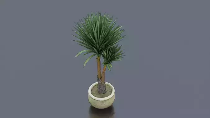 Dragon Tree Low-poly 3D model