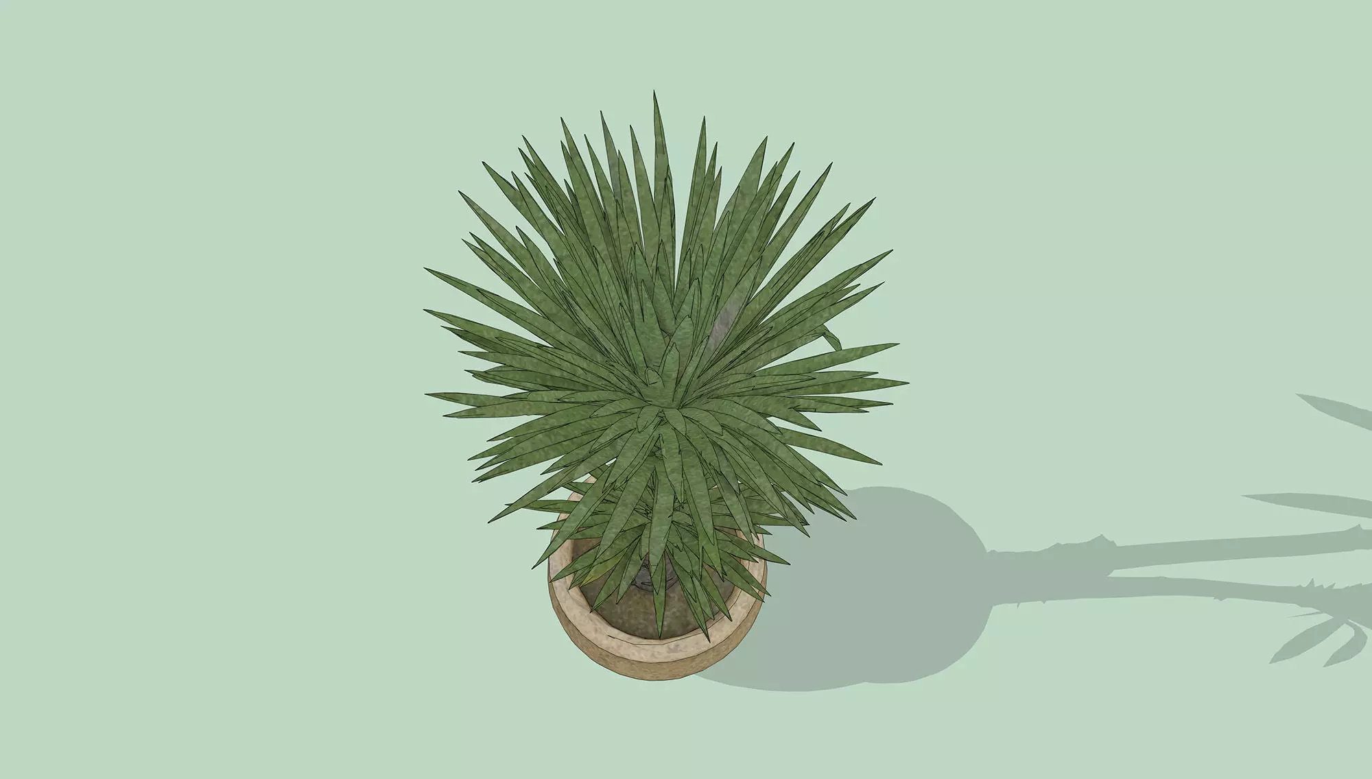 Dragon Tree Low-poly 3D model_4