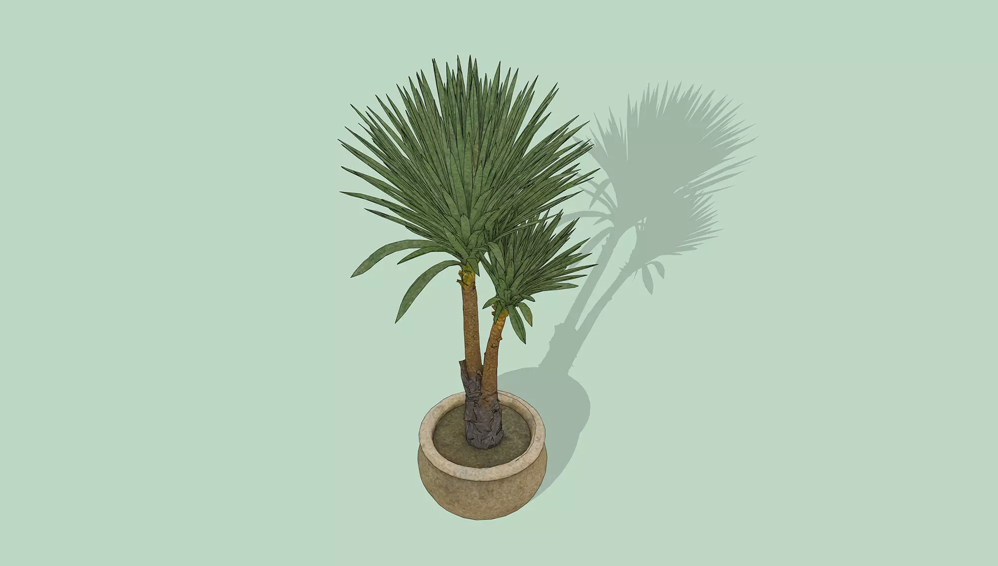 Dragon Tree Low-poly 3D model_3