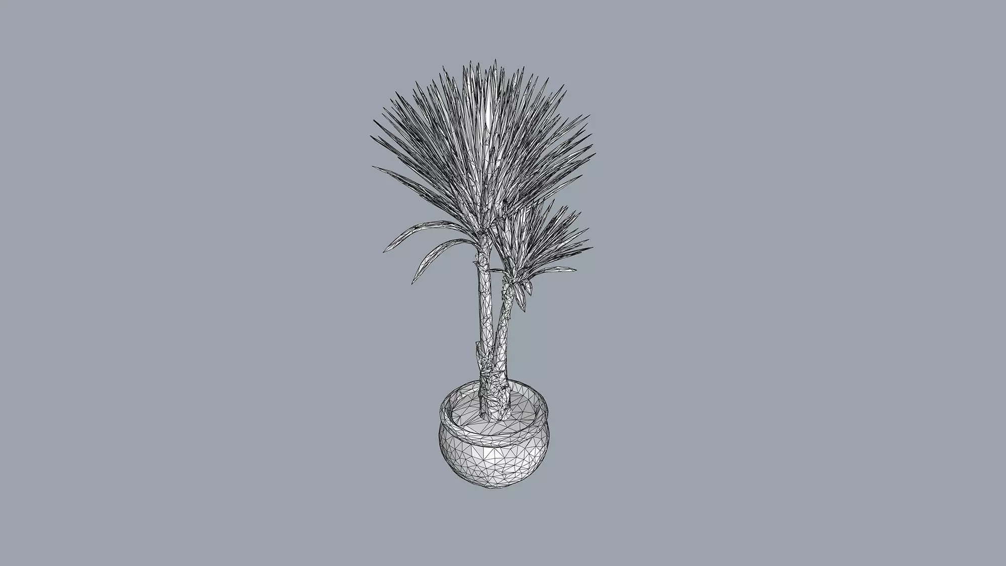 Dragon Tree Low-poly 3D model_7