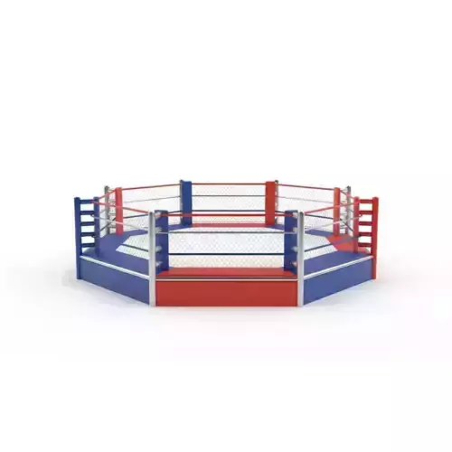 Octagonal Wrestling Cage