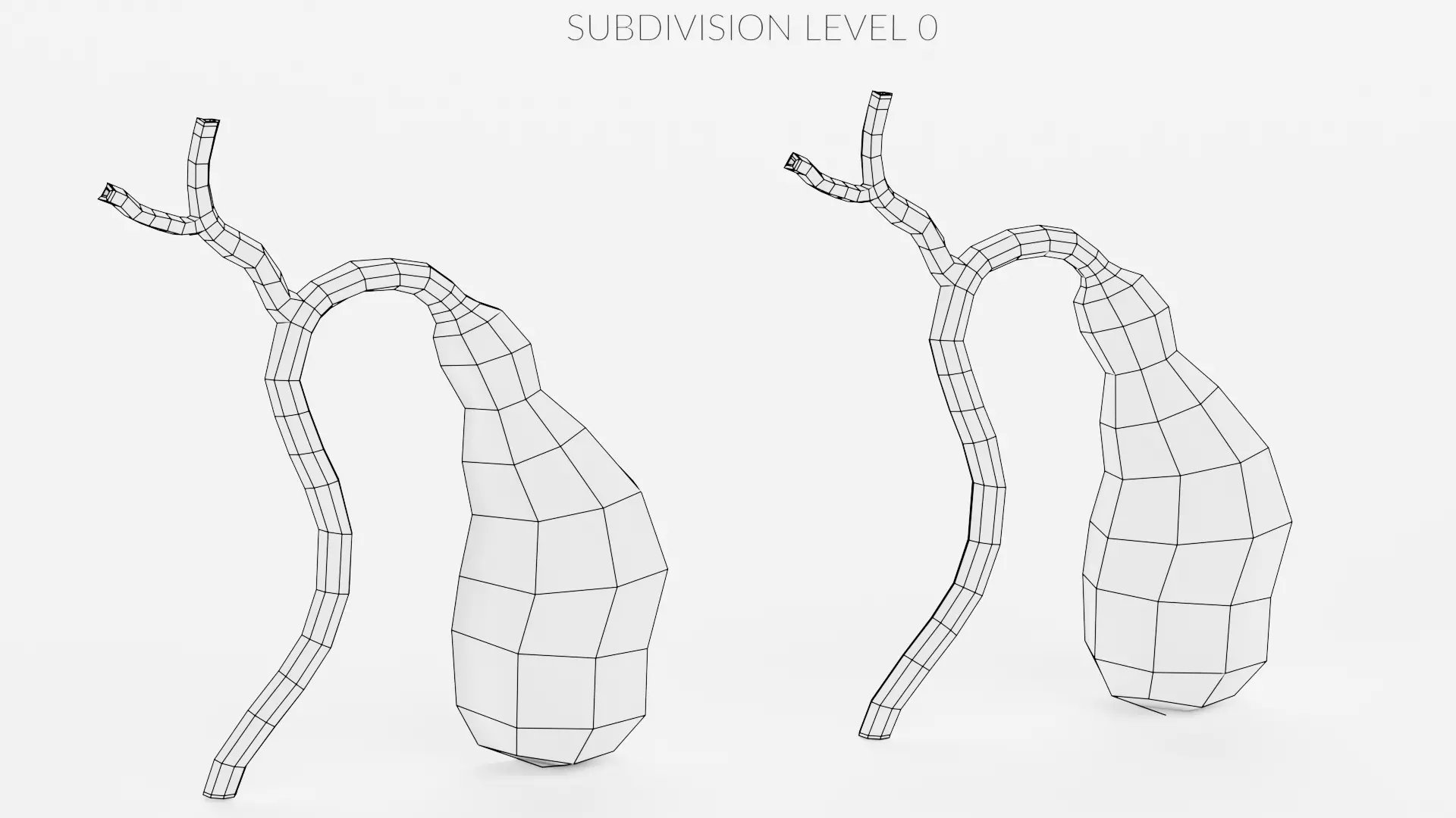 Gallbladder with Section - Realistic Human Anatomy 3D model_11