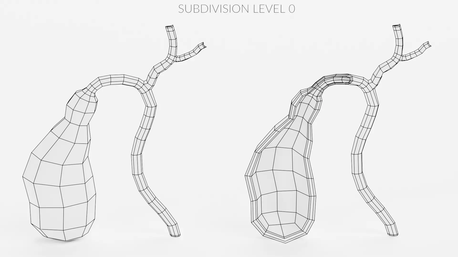 Gallbladder with Section - Realistic Human Anatomy 3D model_9