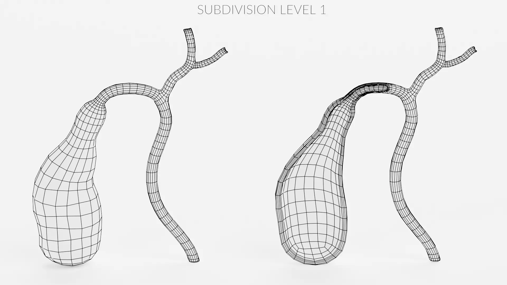 Gallbladder with Section - Realistic Human Anatomy 3D model_10