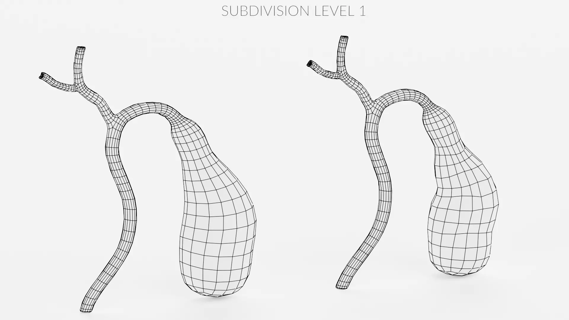 Gallbladder with Section - Realistic Human Anatomy 3D model_12