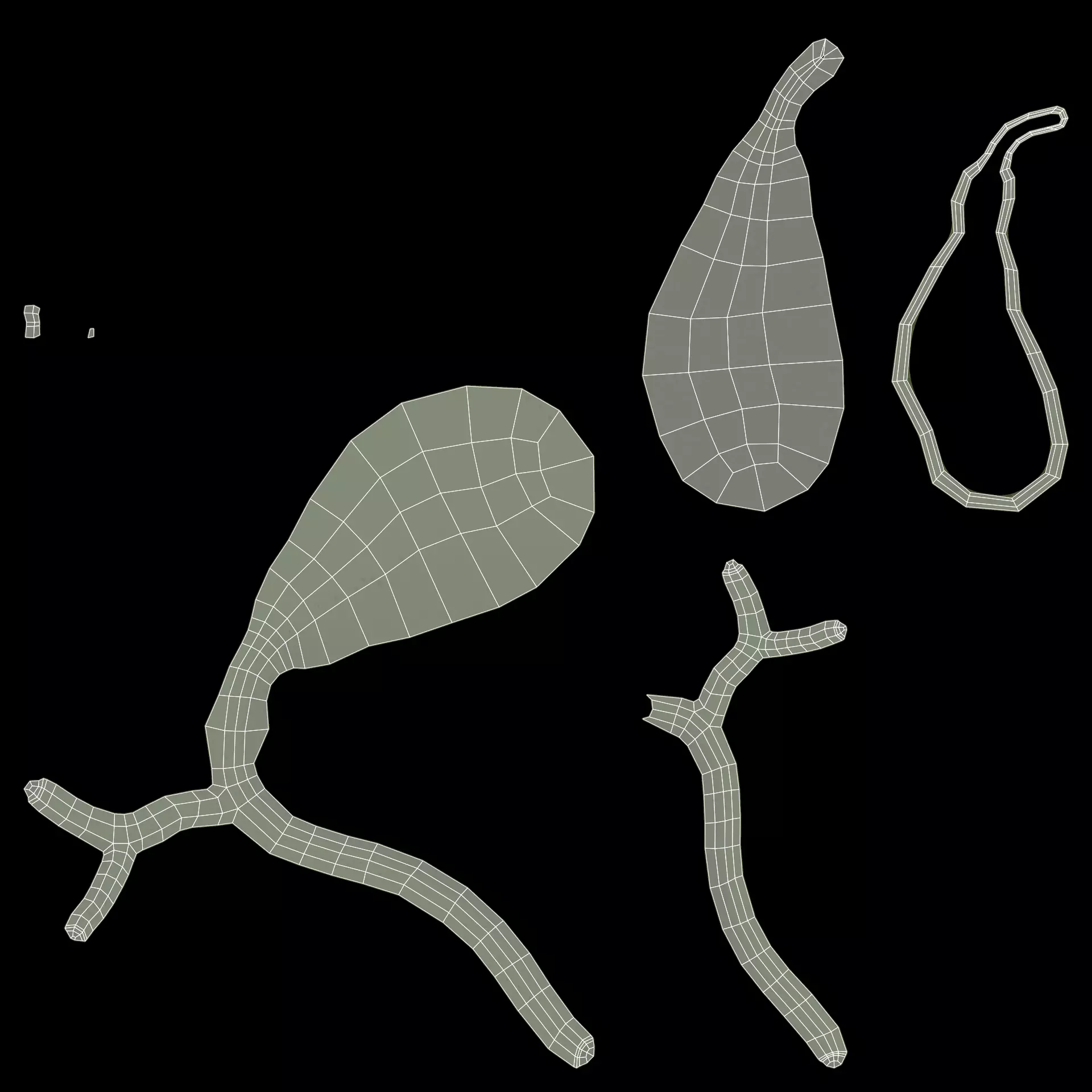 Gallbladder with Section - Realistic Human Anatomy 3D model_7