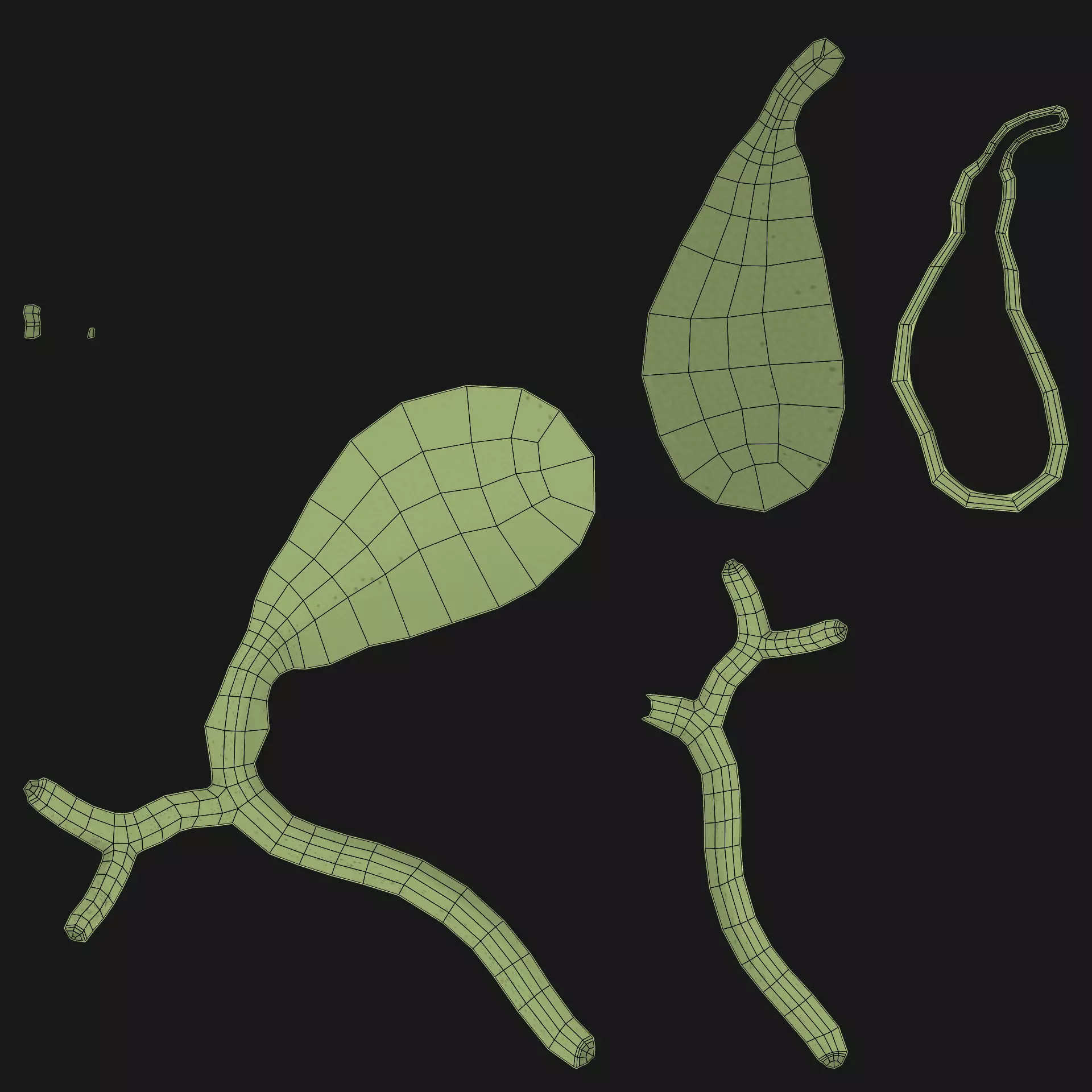 Gallbladder Section - Realistic Human Anatomy 3D model_8