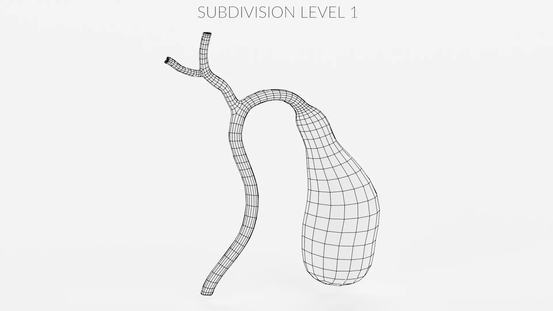 Gallbladder Section - Realistic Human Anatomy 3D model_12