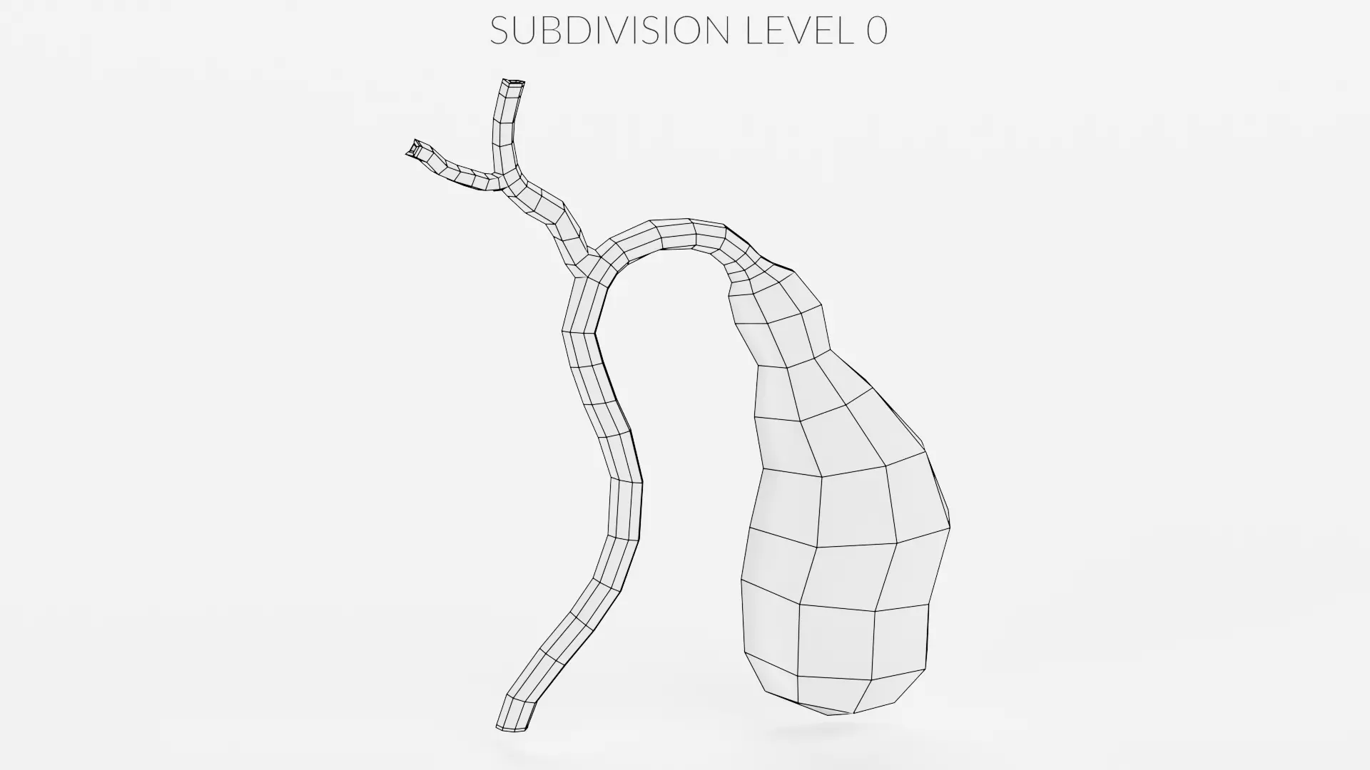 Gallbladder Section - Realistic Human Anatomy 3D model_11