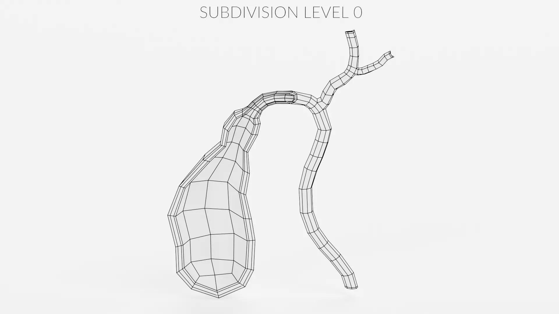 Gallbladder Section - Realistic Human Anatomy 3D model_9