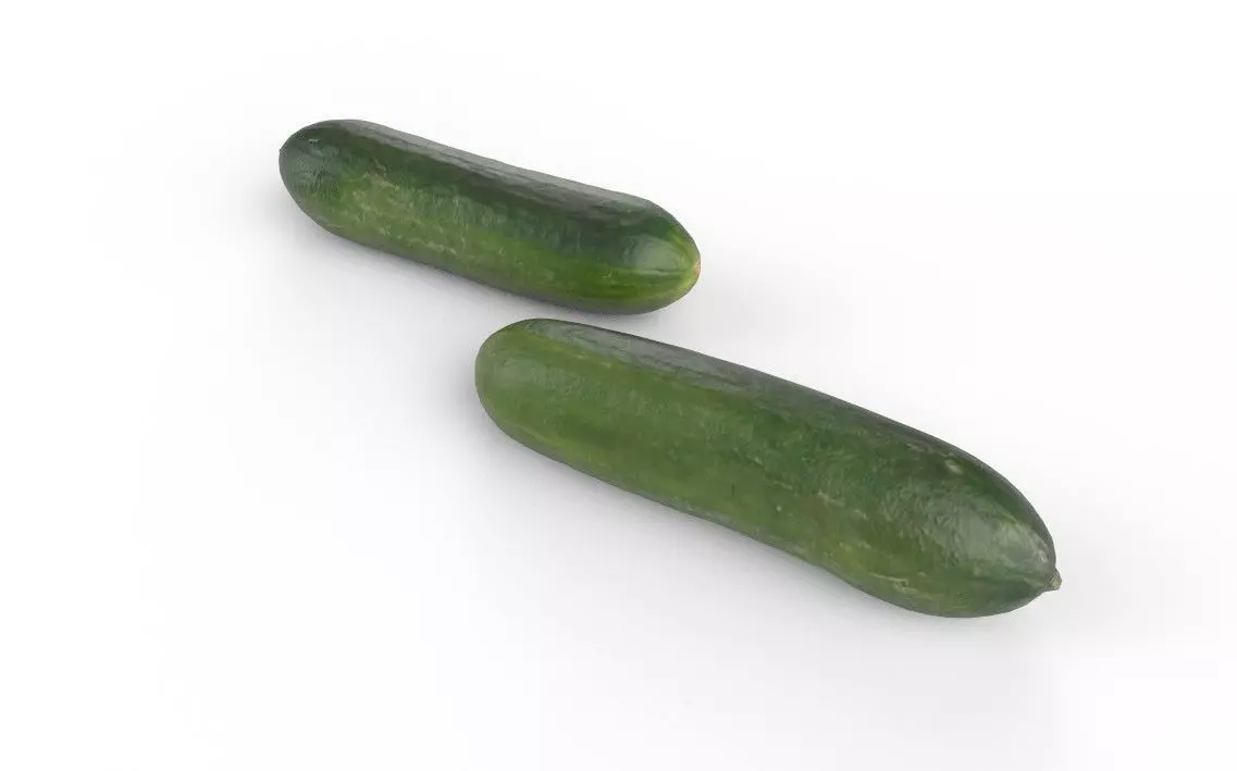 Cucumber M04 Low-poly 3D model_5