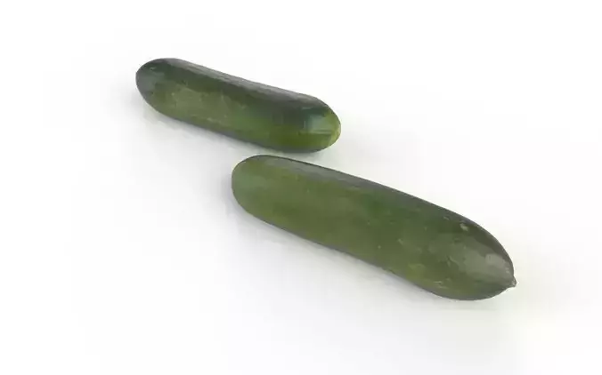 Cucumber M04 Low-poly 3D model 6