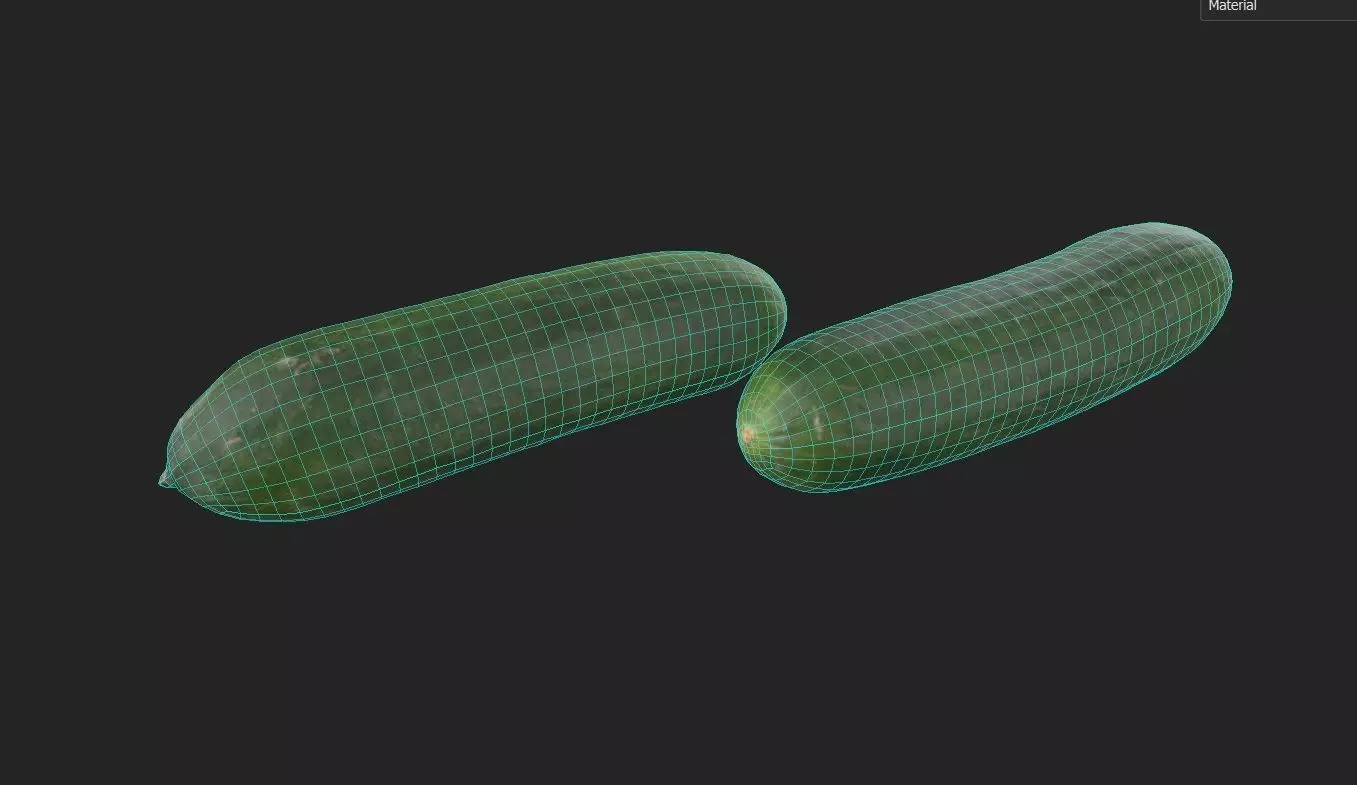 Cucumber M04 Low-poly 3D model_1